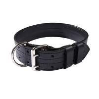 Leather Dog Collar