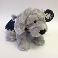 DASH the Police Puppy