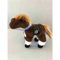 Geronimo the Horse