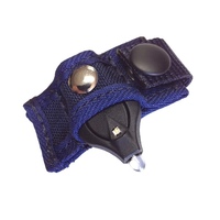 Microlight & Mount Strap 